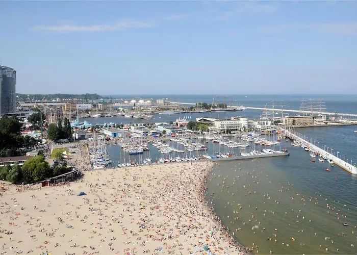 Faltom 20 Yacht Park Premium